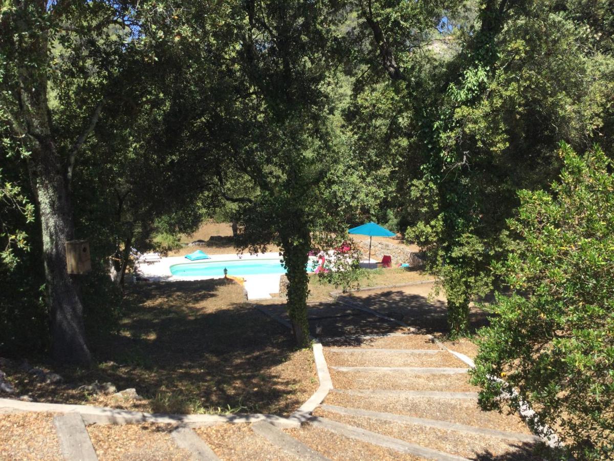 Villa Bleucassis Taradeau Екстериор снимка